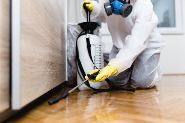 Wildlife Control Services in East Massapequa, NY