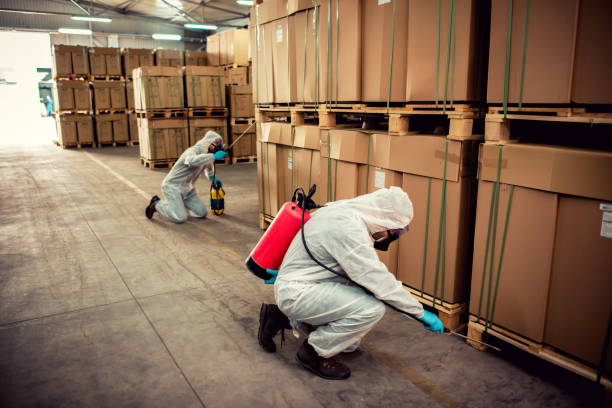 Best Wildlife Control Services  in East Massapequa, NY