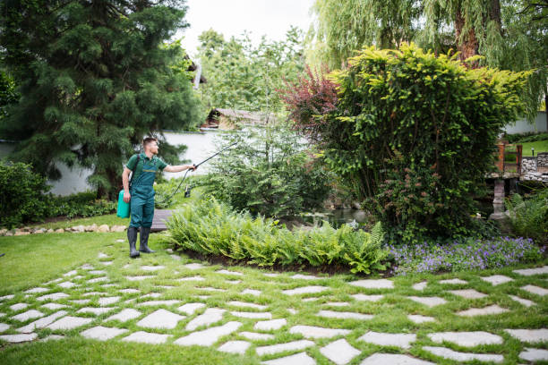 Best Affordable Pest Control Services  in East Massapequa, NY