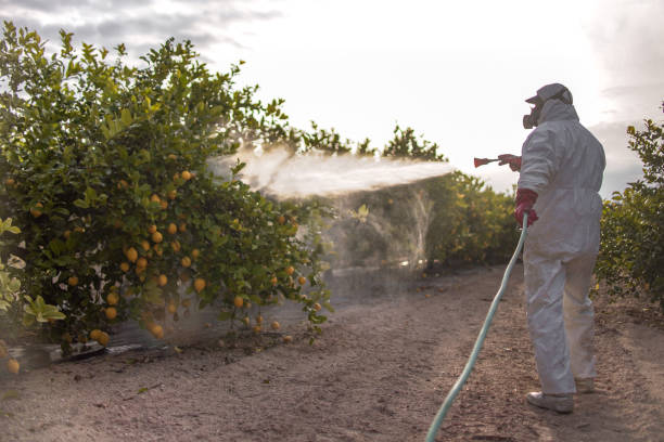 Best Pest Inspection Near Me  in East Massapequa, NY