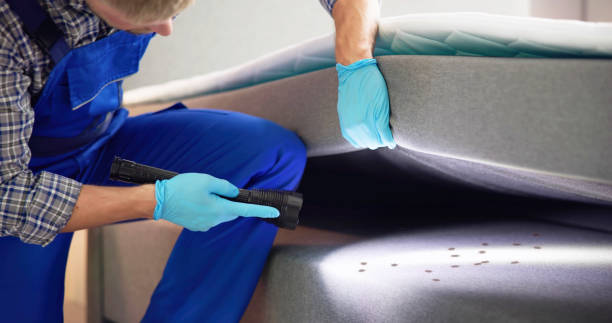 Professional Pest Control in East Massapequa, NY